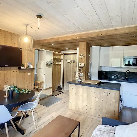 Renove 2 Pieces Proche Pistes Pour 4/6 Pers - Fr-1-563-157 Apartment *