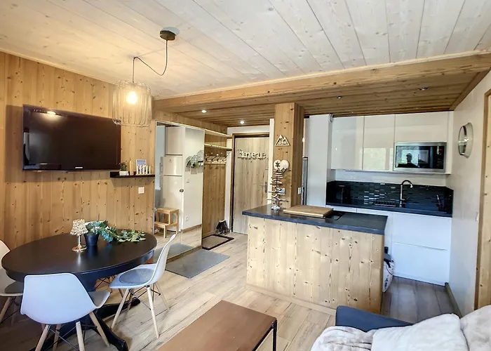 Renove 2 Pieces Proche Pistes Pour 4/6 Pers - Fr-1-563-157 Lejlighed *